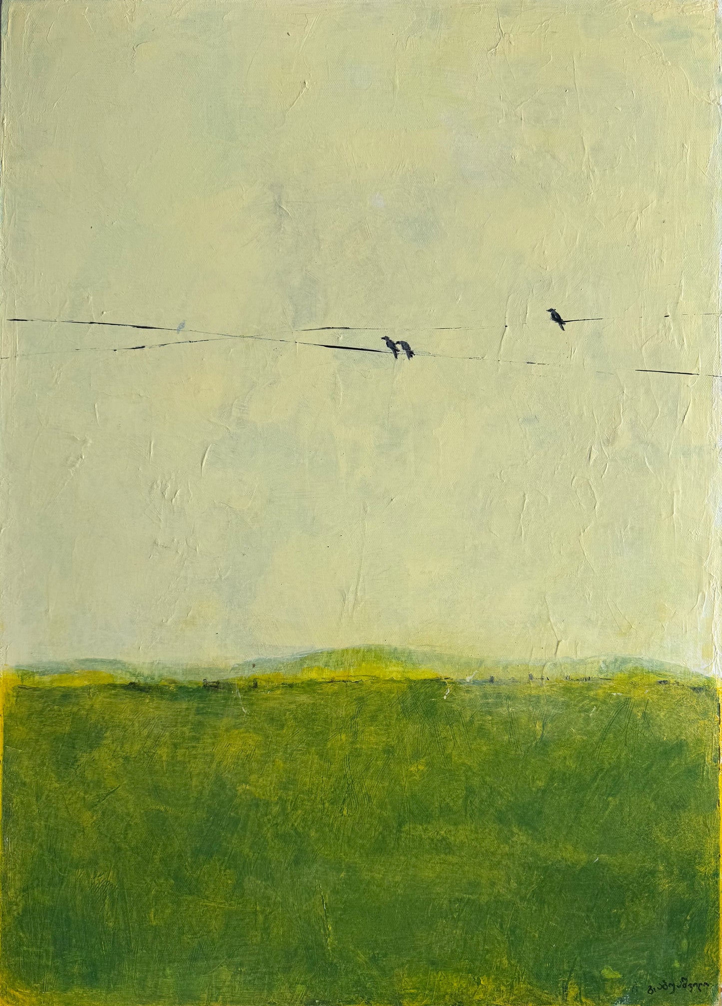 მწვანე მინდორი