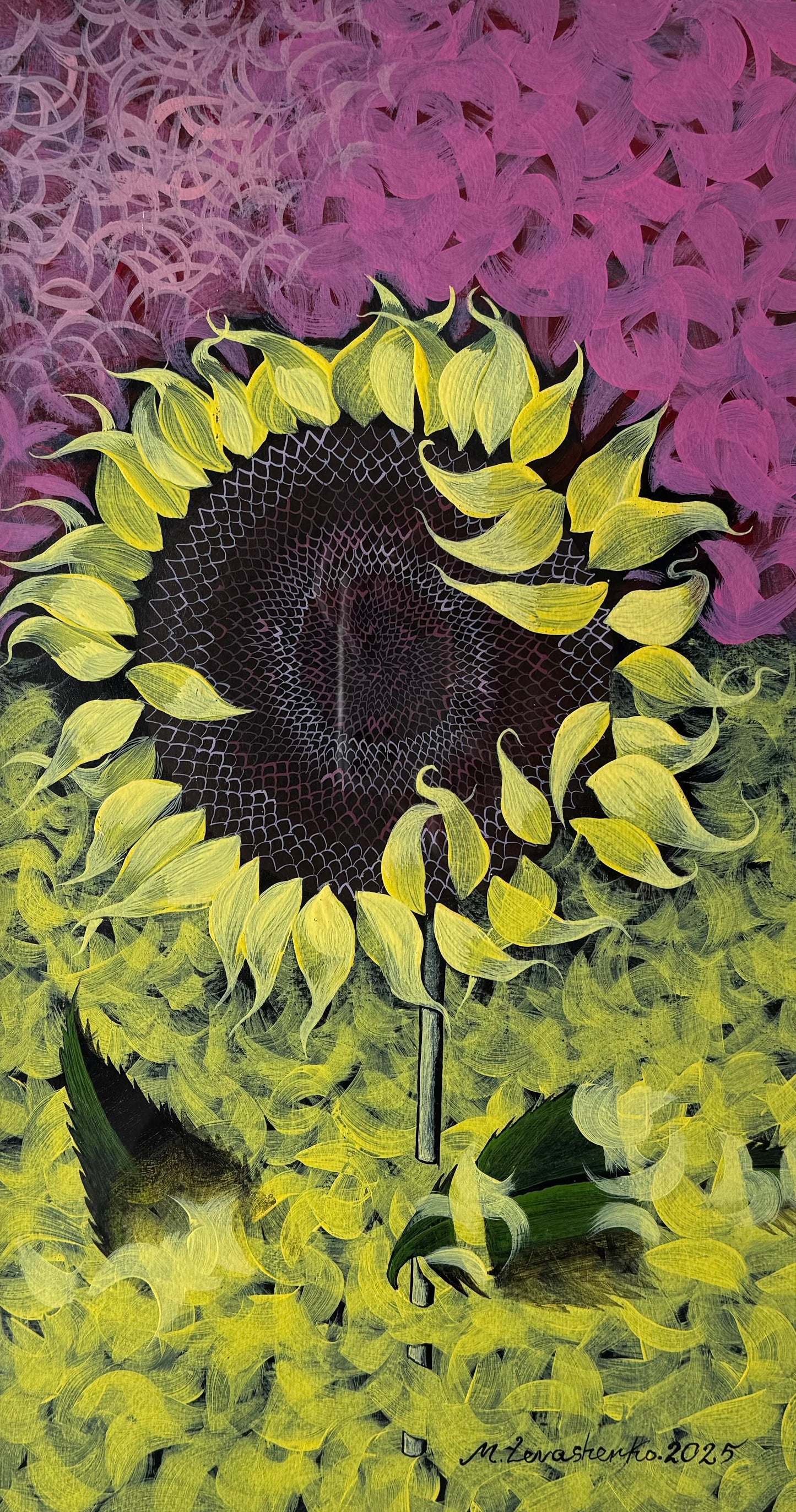 მზესუმზირა