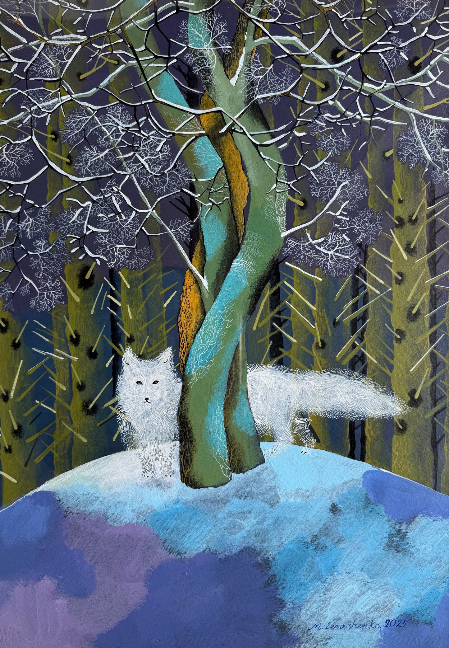 თეთრი მელა